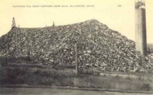 Wood Pile of 4' Logs at the Millinocket Mill