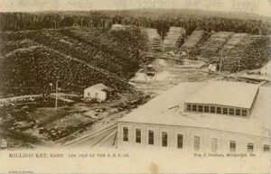 Aerial View of Wood Piles at the Millinocket Mill