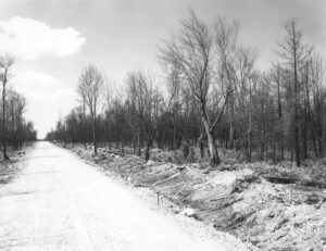 Brownville Road Fire Cleanup in 1949