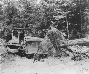 Bulldozer Plowing Over a Tree