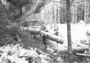 Cutting Fallen Trees into Pulp