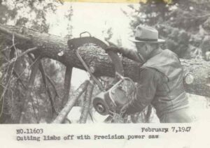 Cutting Limbs off a Tree With a Precision Saw 2/7/1947