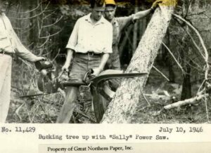 Cutting a Tree with a Sally Saw 7/10/1946