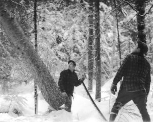 Cutting Trees by Hand