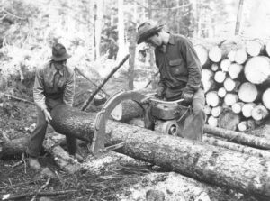 Cutting Wood with a Precision Saw in 1948