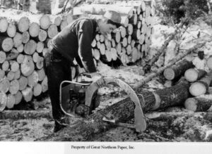 Cutting up a Tree with Precision a Power Saw 2/7/1947