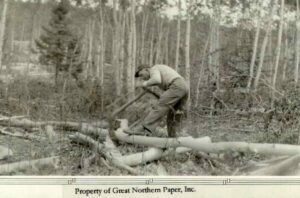 Cutting Wood with an Old Wooden Buck Saw