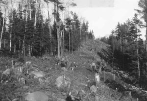 Cutting a Power Line Through the Woods