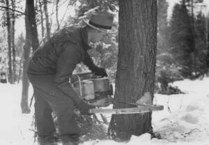 Cutting a Tree with a Precision Power Saw