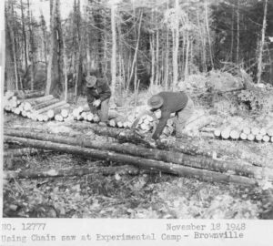 Cutting up a Tree with a Precision Power Saw 11/18/1948