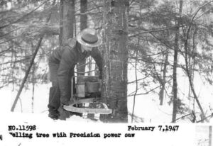 Cutting up a Tree with a Precision Power Saw 2/7/1947