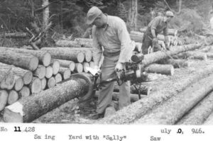 Cutting up a Tree with Precision a Power Saw July 7/10/1946