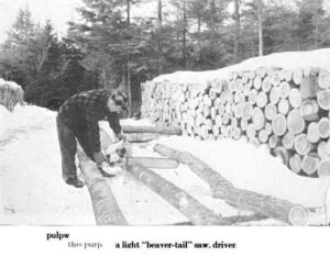 Cutting up Trees with a Chainsaw