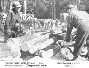 Cutting up Trees with an Early Chainsaw