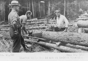 Cutting up Trees with an Early Chainsaw 8/12/1946