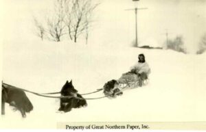 Man with a Dog Sled Team