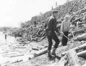 Driving Wood on Abol Stream