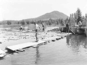 Driving Wood on Abol Stream