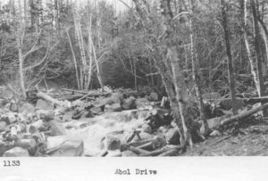 Driving Wood on Abol Stream