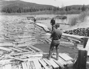 Driving Wood on Abol Stream