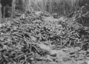 Driving Wood on Abol Stream