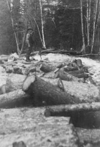 Driving Wood on Abol Stream