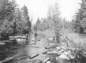 Driving Wood on a Stream