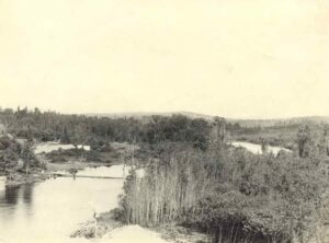 Early Millinocket Mill Site