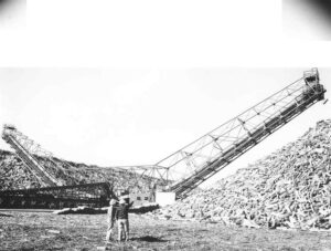 Wood Piles in East Millinocket Wood Yard