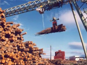 New Crane in the East Millinocket Mill Wood Yard