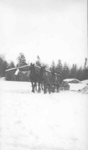 Four Horse Team Pulling Sleigh