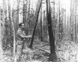 H.N. Bartley Looking at Trees