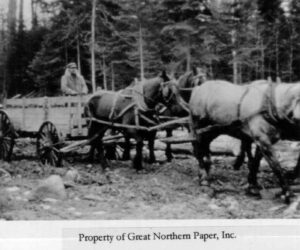 Man Controlling a Horse Drawn Wagon