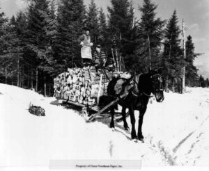 Horse Pulling a Pulp Sled