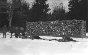 Horse Pulling a Pulp Sled