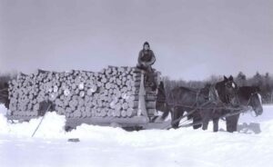 Two Horses Pulling a Pulp Sled in the 1930's