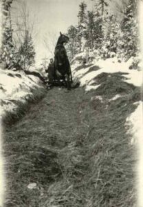 Horse Rearing up on a Wagon