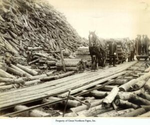 Horse Tramway with a Big Pile of Pulp