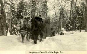 Horses Hauling Hay in the Winter