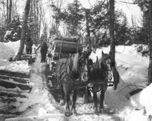 Horses Hauling Pulp on a Winter Road