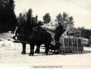 Horses Pulling Hay and Supplies