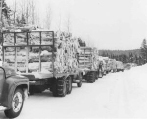 Line of 1940's Trucks Hauling Pulp