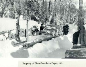 Loading Pulp by Hand onto a Horse Drawn Pulp Sled