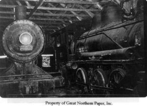 Locomotive in a Train Shed