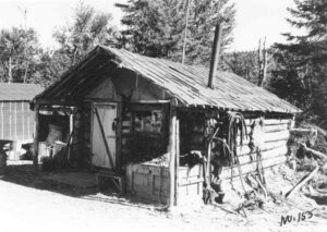 Great Norther Paper Log Cabin