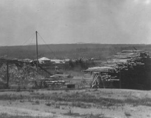 Log Pile with Administration Building in the Background at the Millinocket Mill in 1913