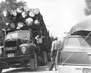Log Truck Driver Talking to a Fisherman