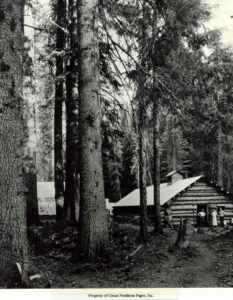 Logging Camp with Tall Spruce Trees