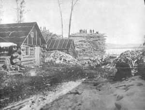 Long Log Pile by a Camp on the Shore