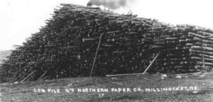 Wood Pile of Long Logs